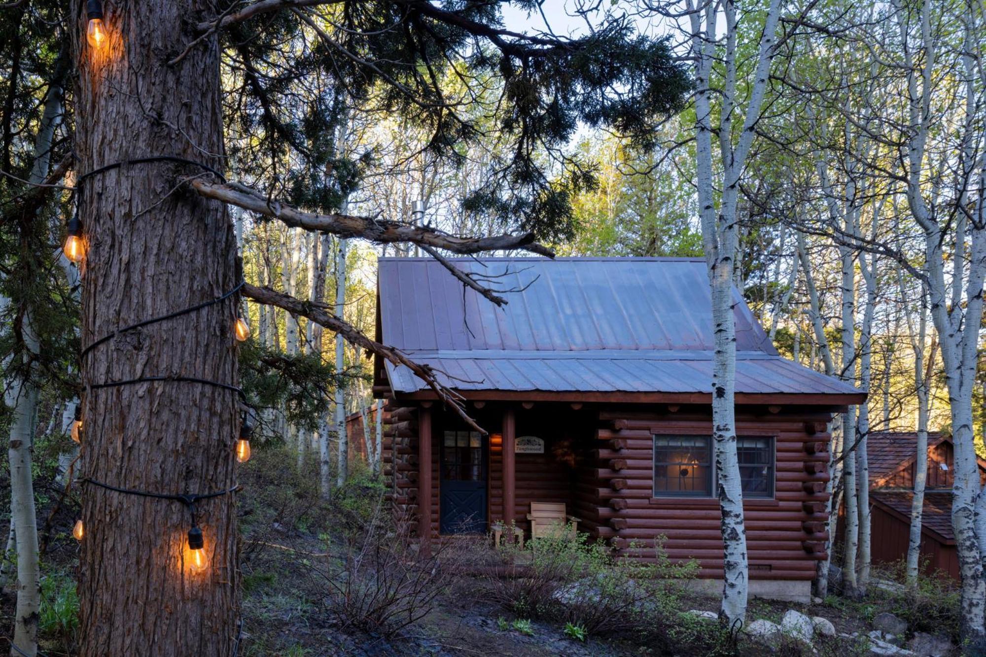 Desolation Hotel Hope Valley Markleeville ห้อง รูปภาพ